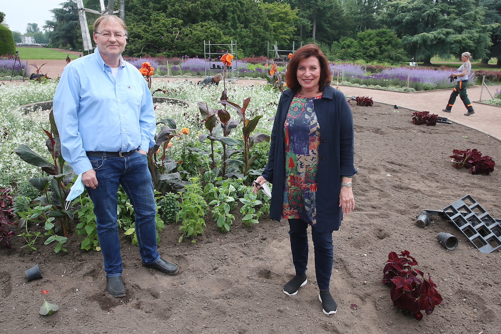100.000 Sommerblumen für Düsseldorf