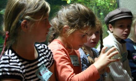 Ferienangebote der Kultur: Auf den Spuren Goethes oder ins “Reich der&nbsp;Mitte”