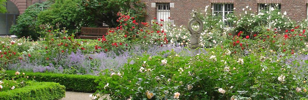 Stadt vergibt Patenschaften für Rosengarten in der Carlstadt