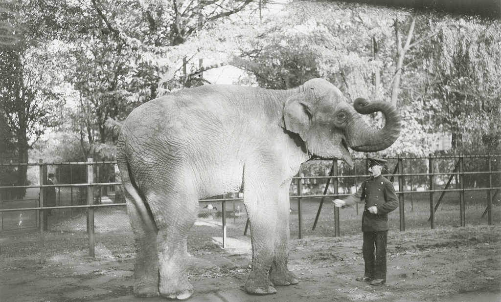 “Dem Zoo auf der Spur! Unterwegs mit der Mahn- und Gedenkstätte”