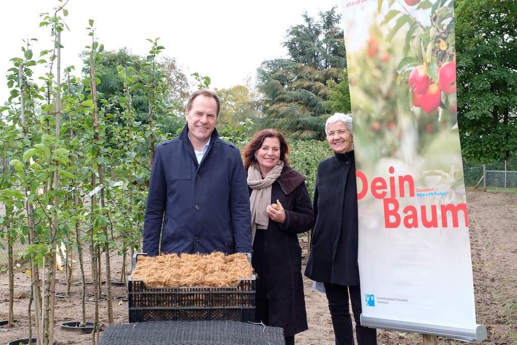 Aktion “Dein Baum”: Gartenamt stellt 200 Bäume für private Gärten in Düsseldorf bereit
