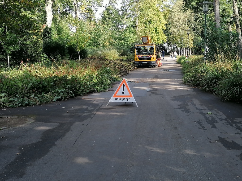 Baumfällungen und Gehölzschnittarbeiten des Gartenamts