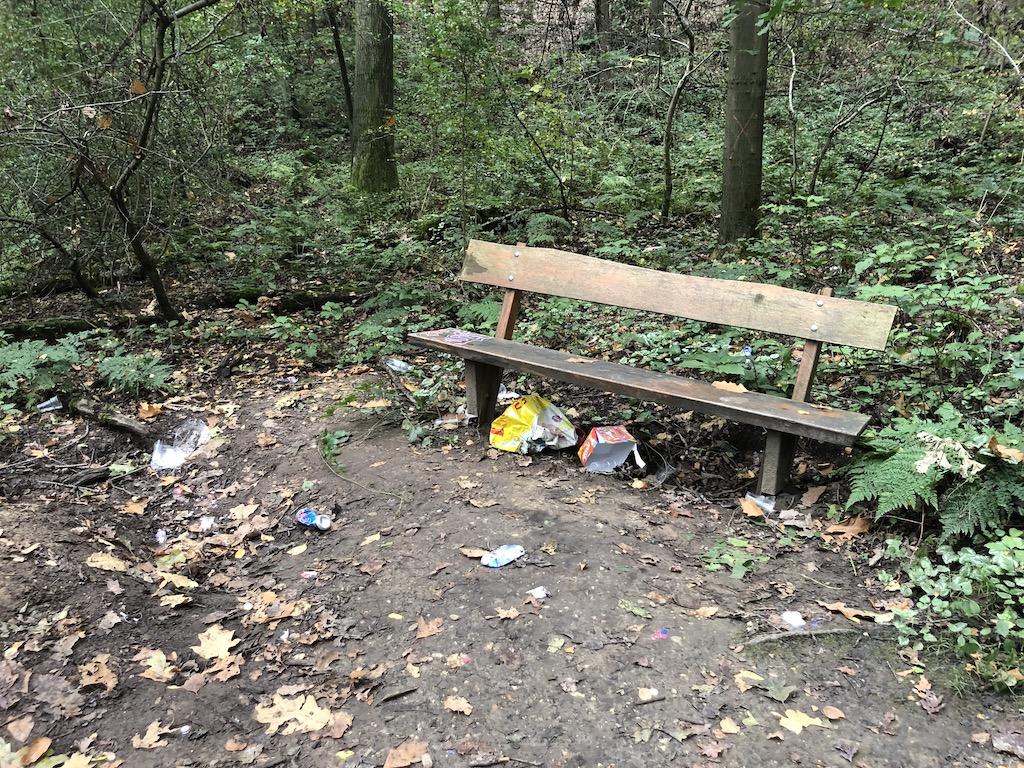 Härtere Strafen für Waldverpester?