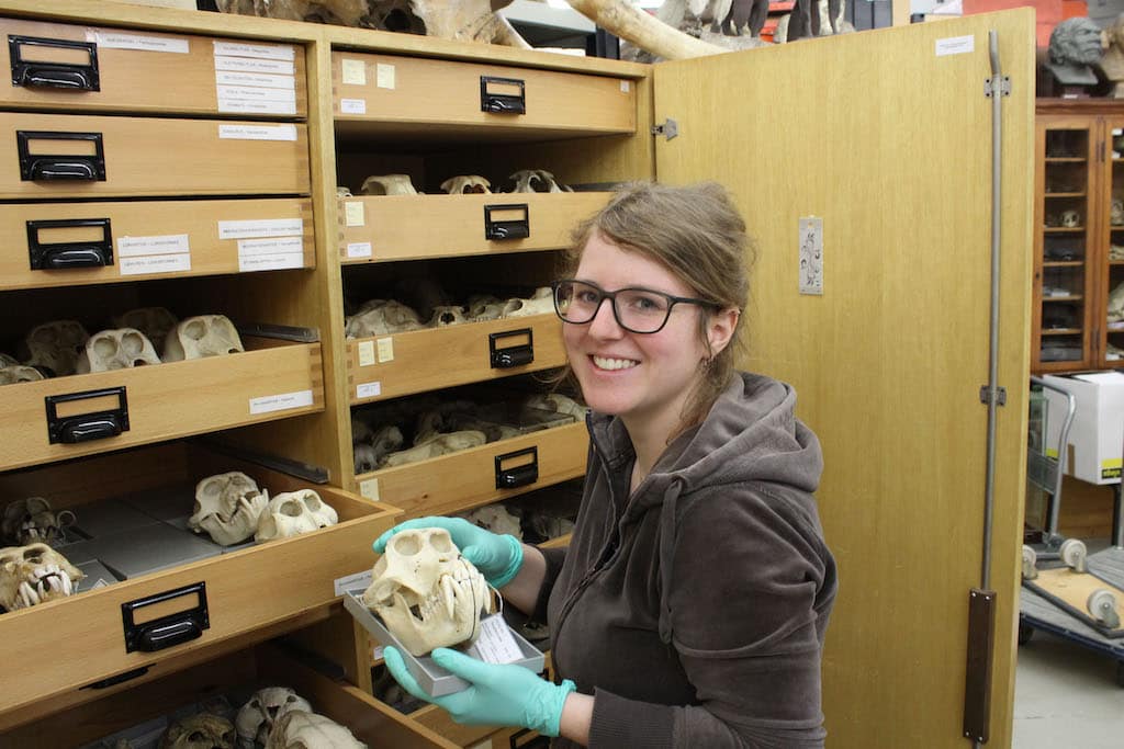 Präparationstechniken im Museum — Workshop für Erwachsene