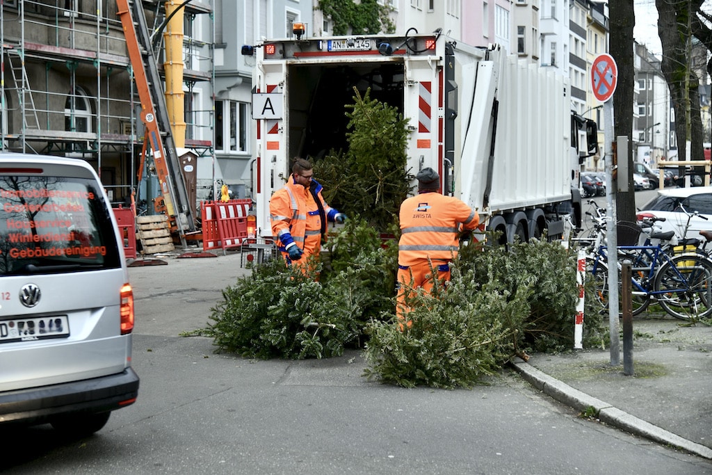 Awista sammelt ausgediente Weihnachtsbäume ab Januar ein