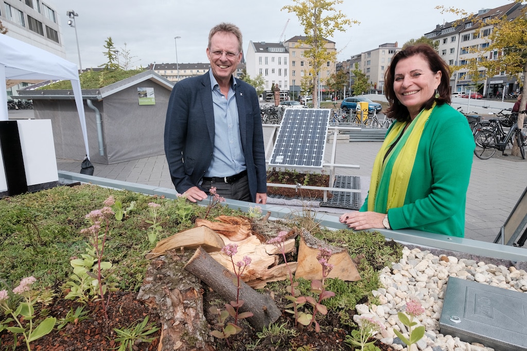 Online-Seminar zur Dachbegrünung