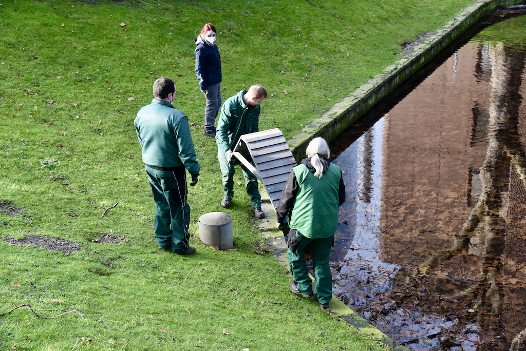 Neue Ententreppen für den KÖ Graben