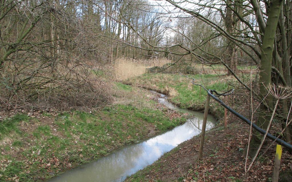 Öffentliche Gewässerschau an Pillebach und Fliethbach