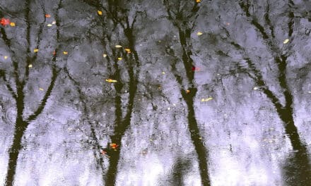 Fotoausstellung zur Klimaanpassung Düsseldorf Toulouse noch bis 6. März zu&nbsp;sehen