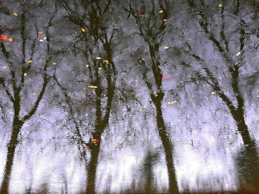 Fotoausstellung zur Klimaanpassung Düsseldorf Toulouse noch bis 6. März zu sehen