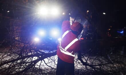 Feuerwehr rückte zu Wasserschäden, umgestürzten Bäumen und abgeknickten Ästen&nbsp;aus