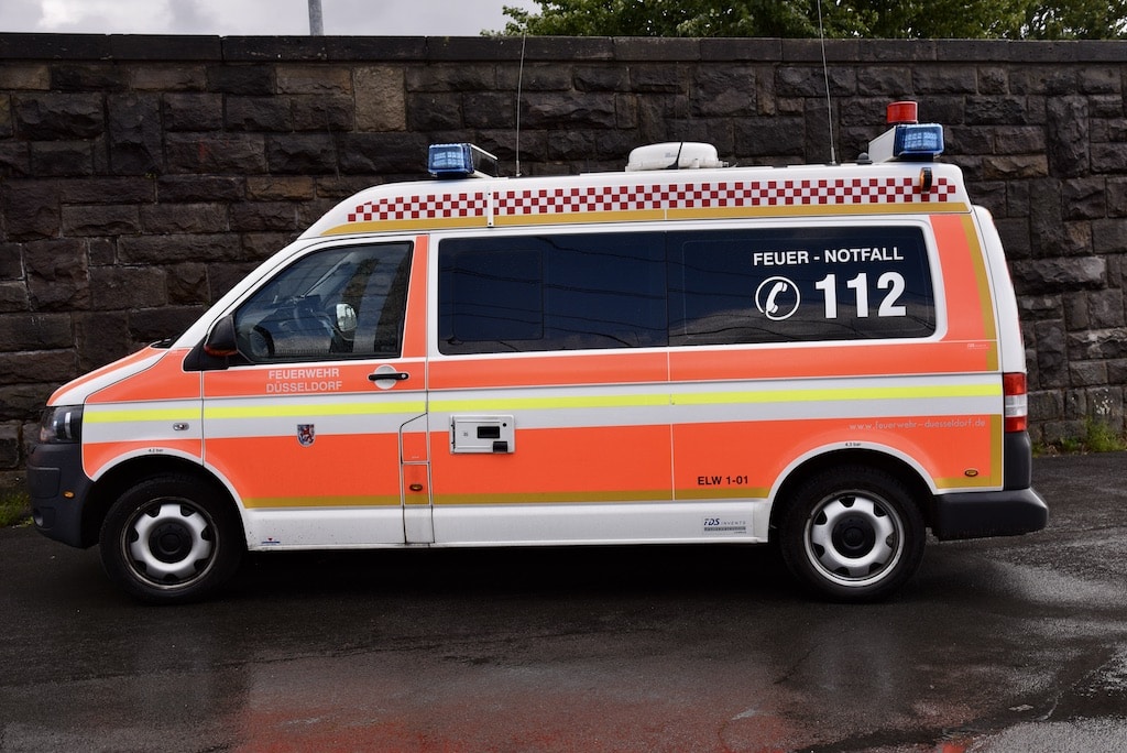 Schlange im Vorgarten