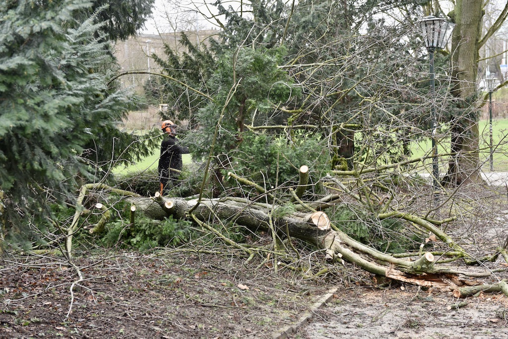 Nach dem Sturm wird jetzt aufgeräumt