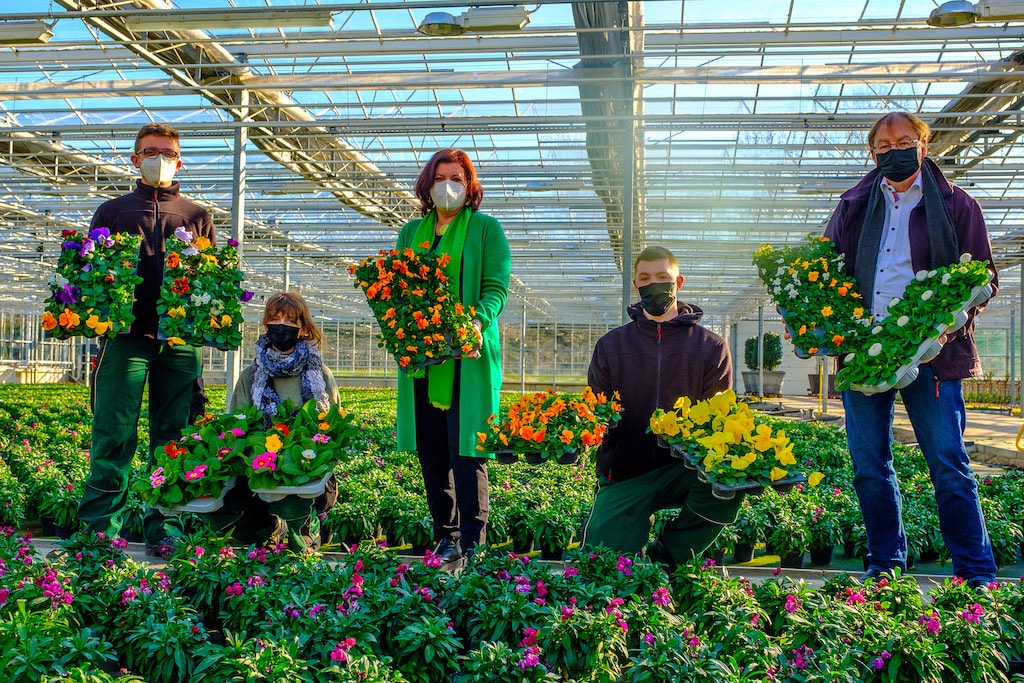 Fast 250.000 neue Blumen blühen in der Stadt auf