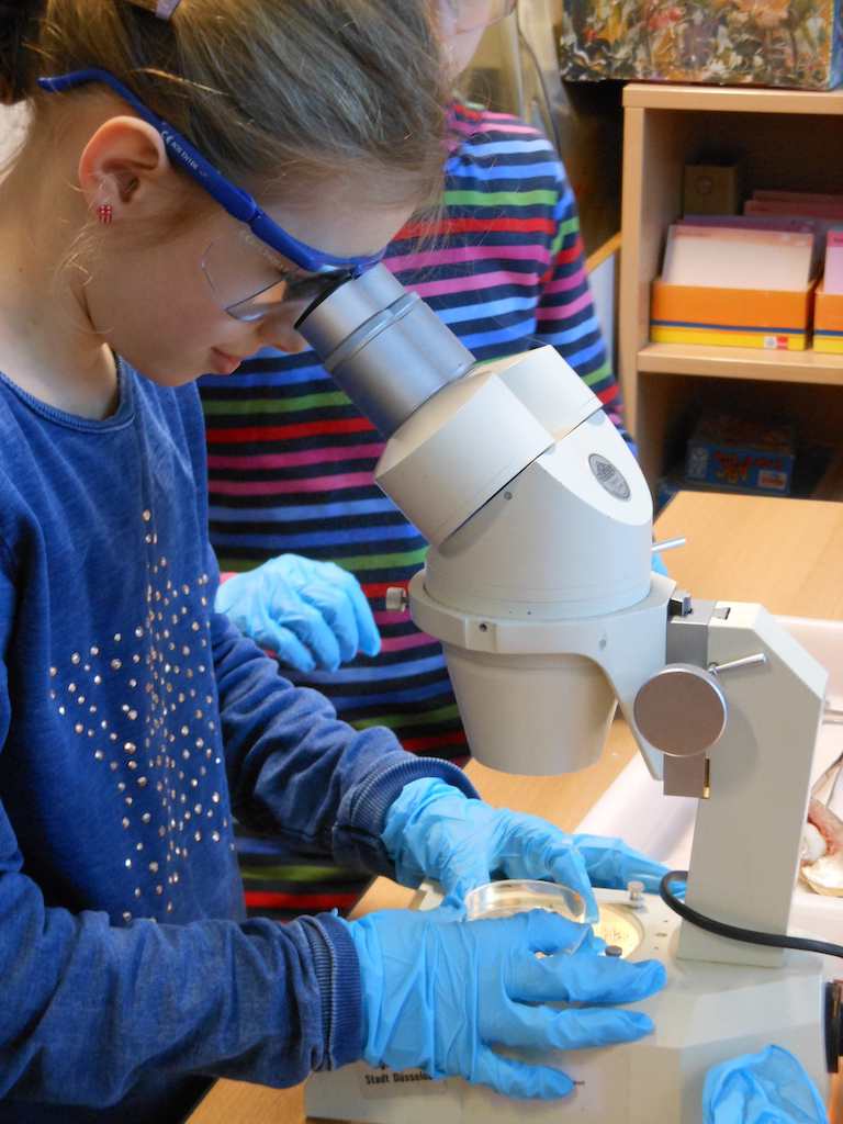 Ferienaktionen im Aquazoo Löbbecke Museum