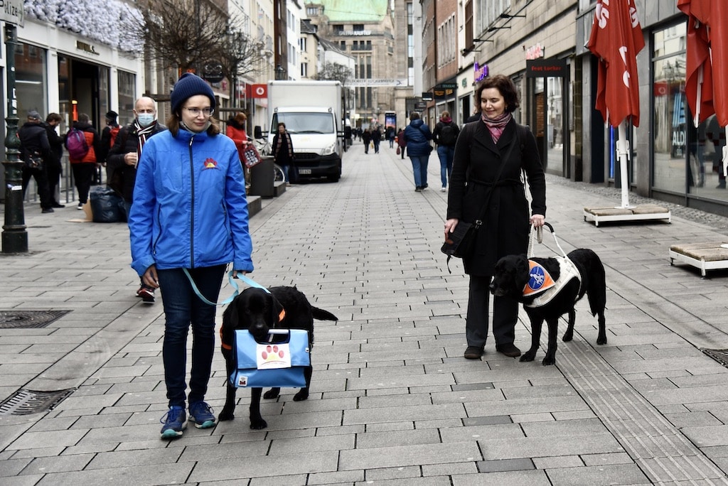 Assistenzhunde willkommen: Zutrittskampagne des Pfotenpiloten e. V. jetzt auch in Düsseldorf