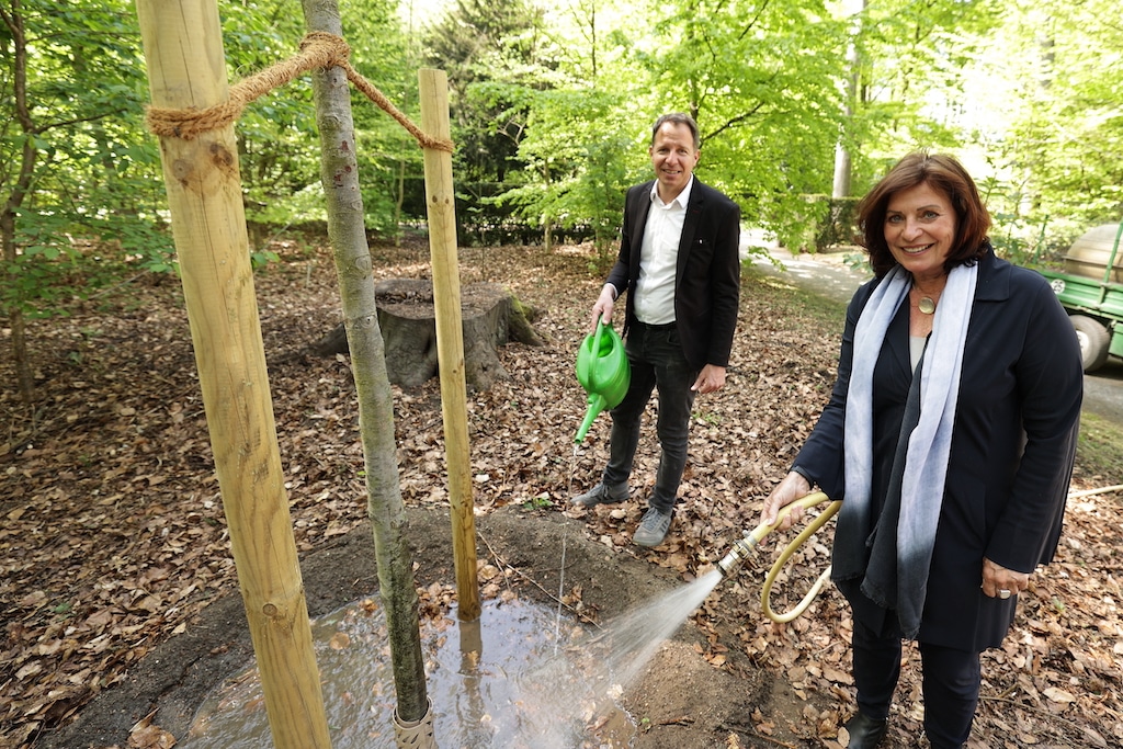 In der Stadt wachsen 1.600 neue Bäume sowie 15.000 Setzlinge im Stadtwald
