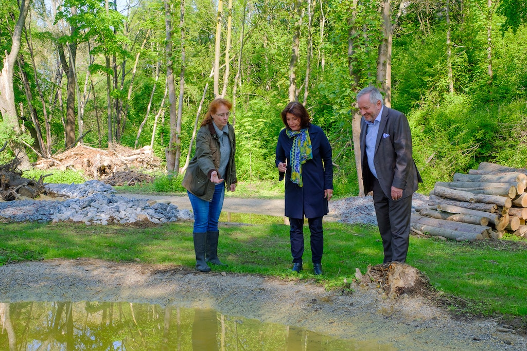 Amphibienersatzquartiere für gefährdete Kreuzkröten