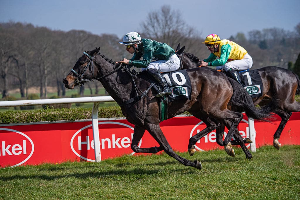 Jubiläumsrenntag mit Galoppsport zum Anfassen und Mitmachen