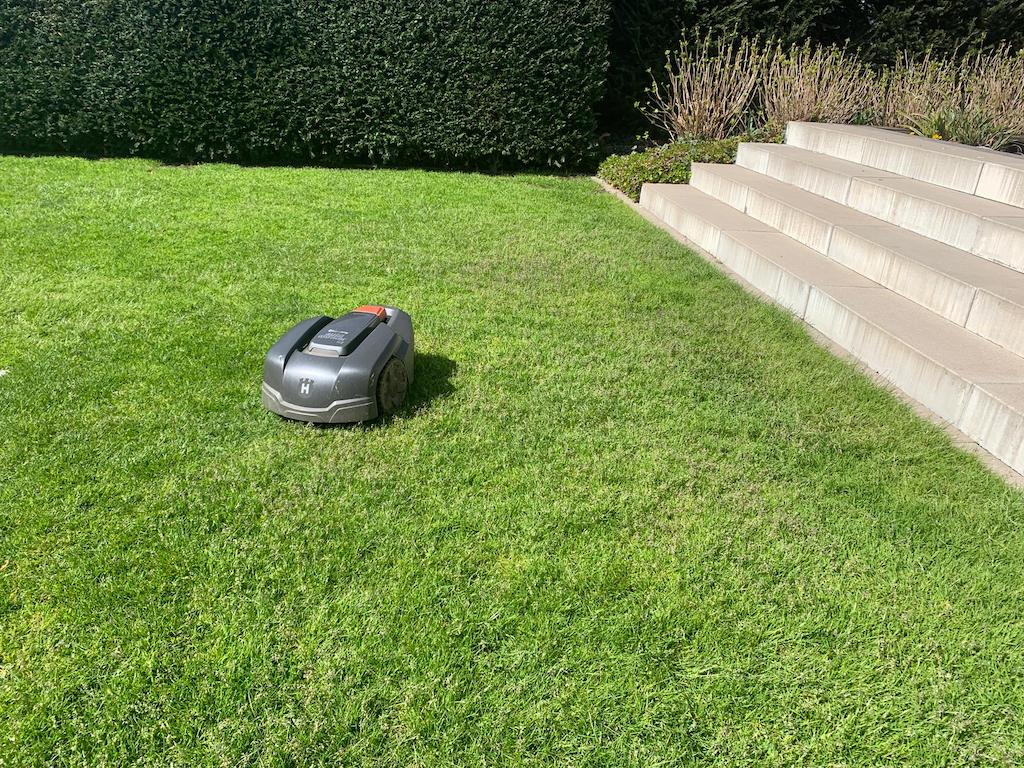 Mähroboter können Tiere in Gefahr bringen