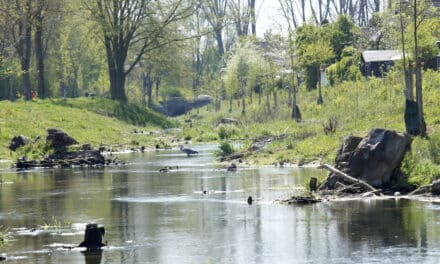 Fotoausstellung zur Klimaanpassung Düsseldorf und Toulouse ab sofort im Internet
