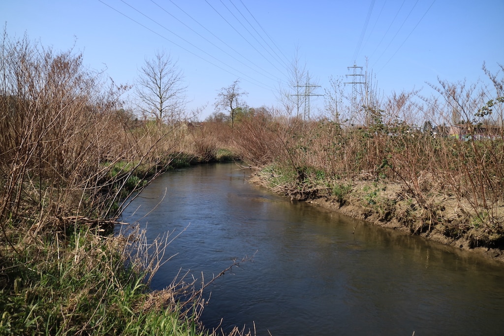 Öffentliche Gewässerschau an der Ungeteilten Düssel in Düsseldorf-Gerresheim