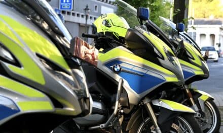 Randalierer belästigt Frauen – Polizist angegriffen – Diensthund setzt Biss ein  Düsseldorf (ots)