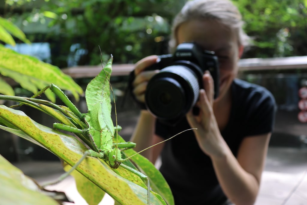 Tierfotografie – Workshop für Erwachsene im Aquazoo