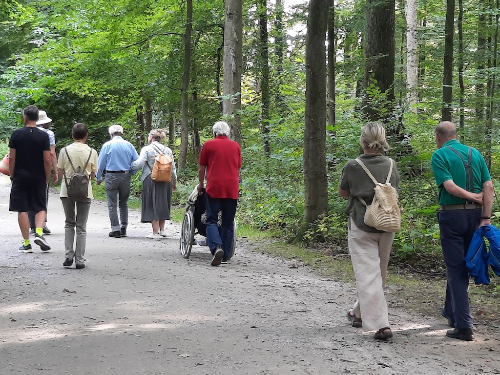 Waldspaziergang mit der Alzheimergesellschaft