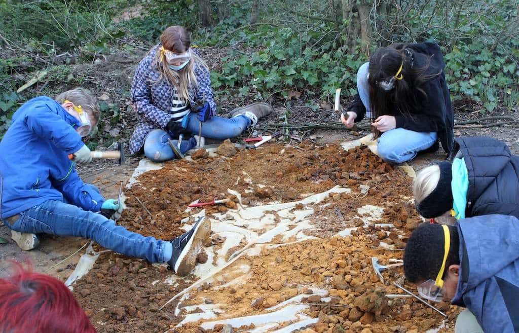 Aquazoo Kids-Club — Angebot für junge Forscherinnen und Forscher