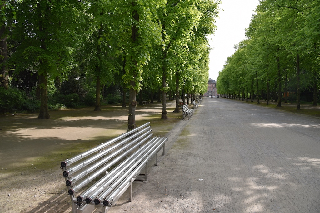Pilzlehrwanderungen, Parkhistorie und Waldbaden: Gartenamt lädt zu Führungen im September ein