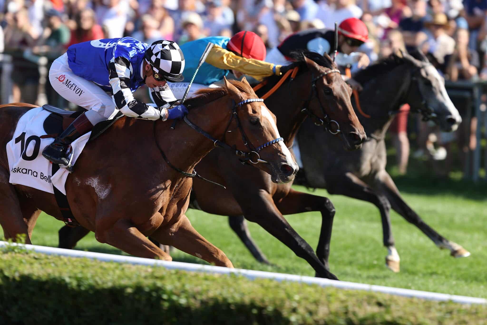 Toskana Belle brilliert im 164. Henkel-Preis der Diana