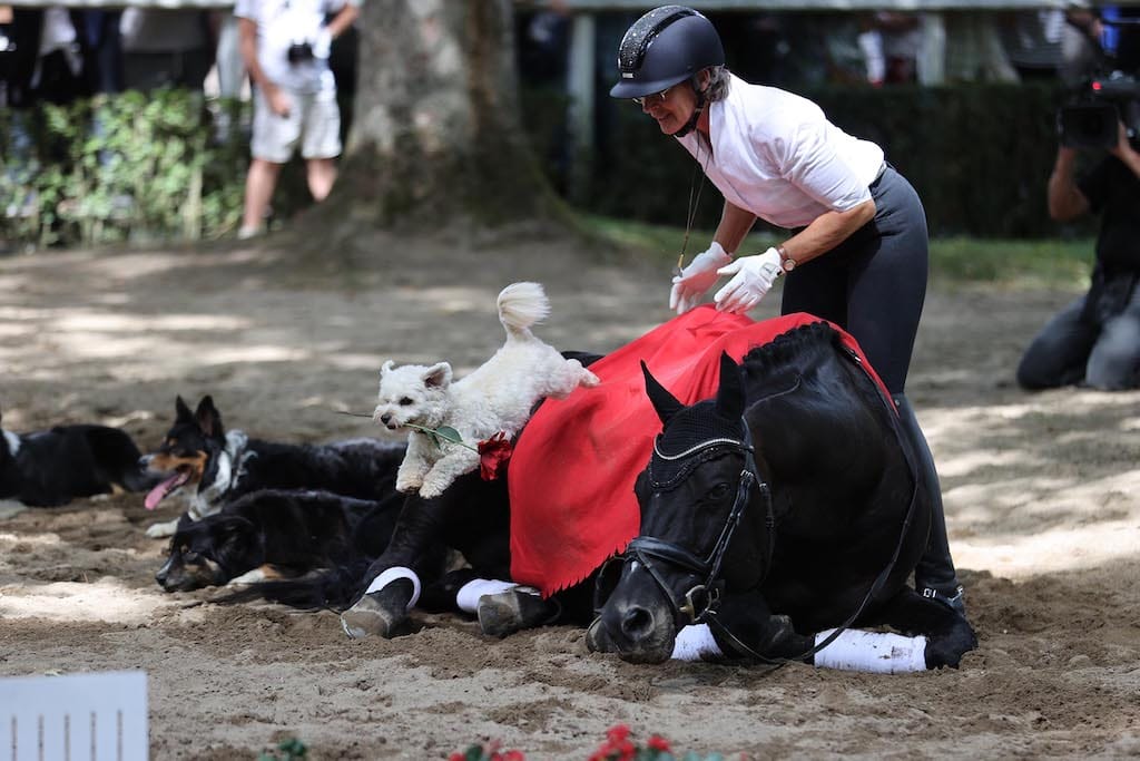 Großer Sparkassen-Familientag lockt große und kleine Düsseldorfer zum Grafenberg