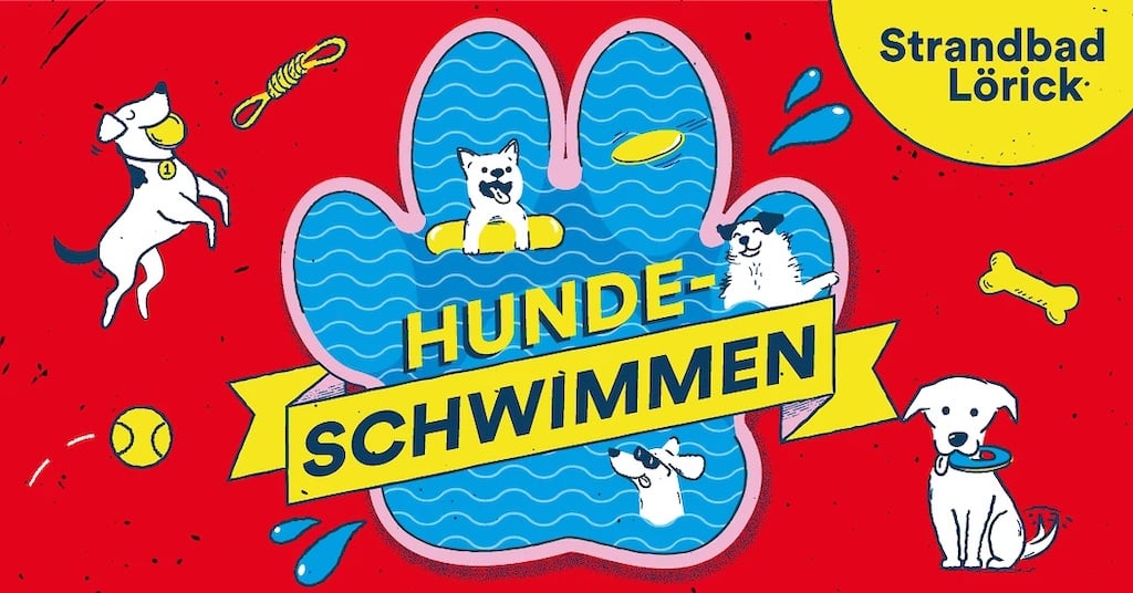 Hundeschwimmen in Düsseldorf