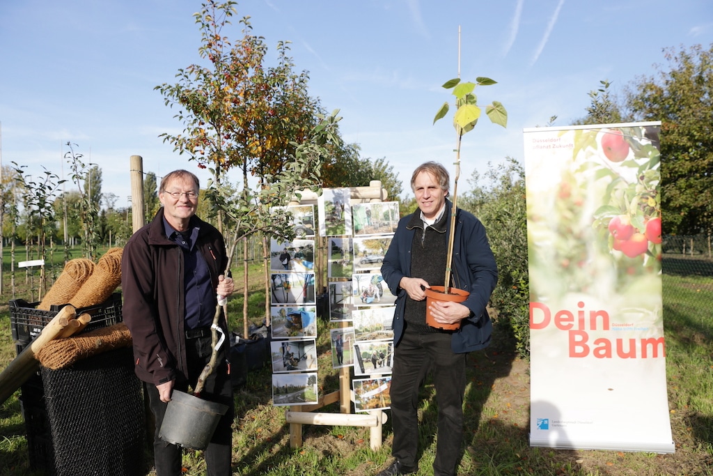Gartenamt stellt 225 Bäume für private Gärten in Düsseldorf bereit
