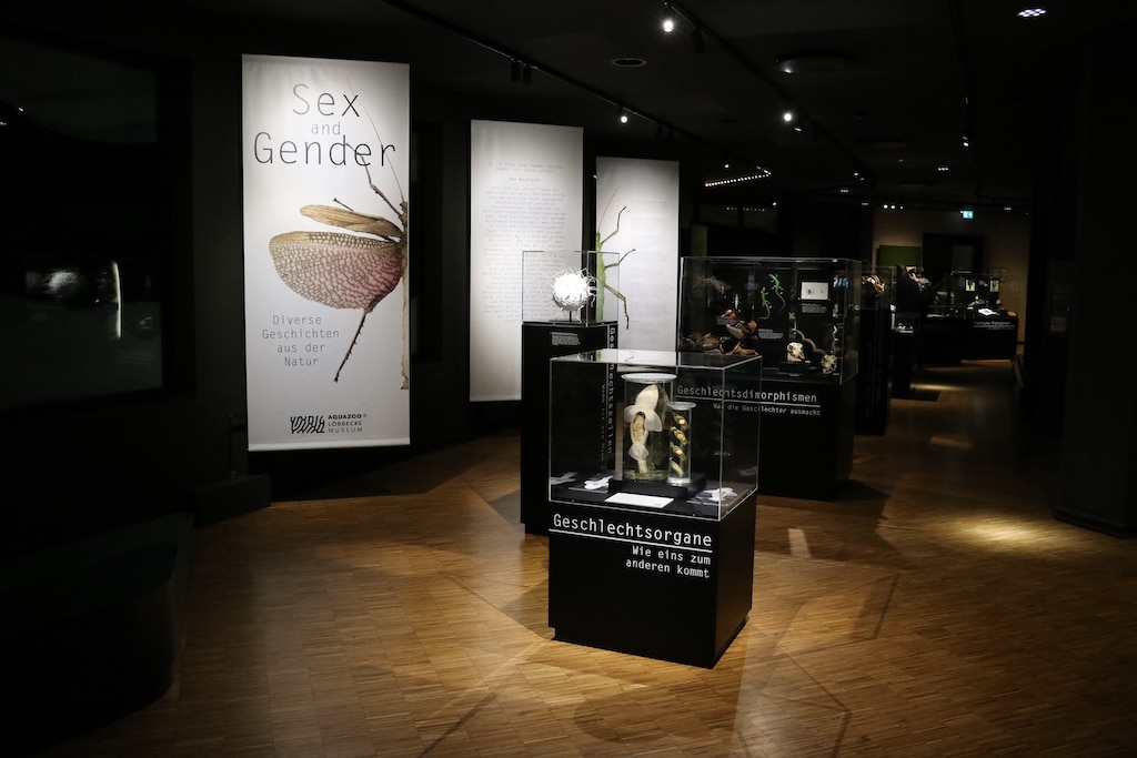 “Anders ist normal — Vielfalt sexueller Fortpflanzungsstrategien”