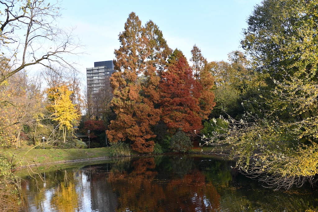 Stadt startet Kampagne für Engagement im Grünen