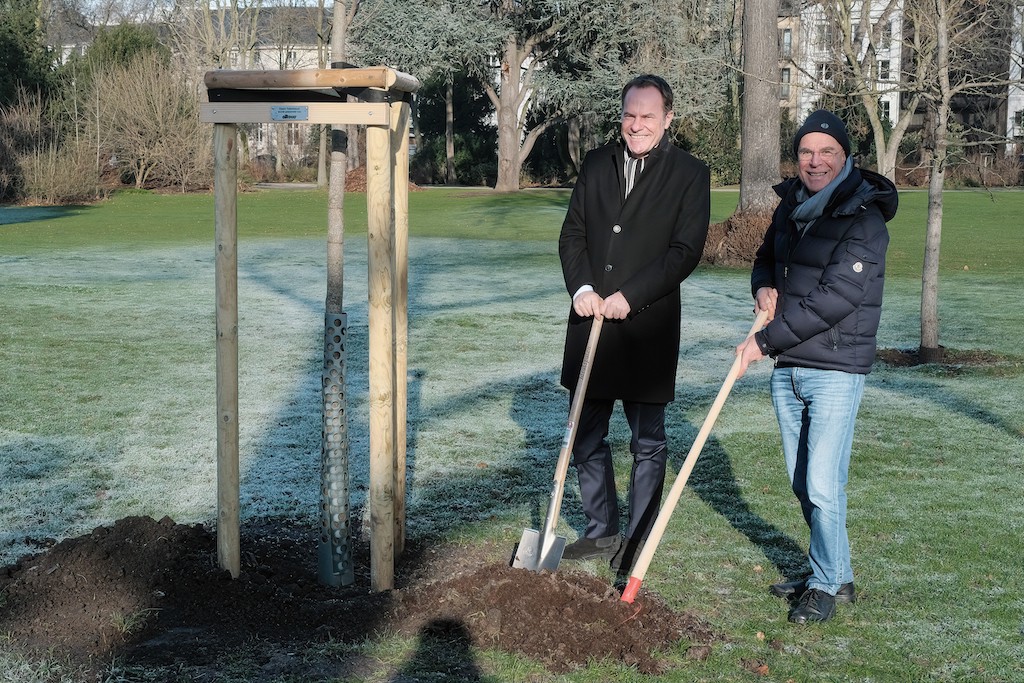 “alltours” spendet neue Bäume für den Düsseldorfer Hofgarten