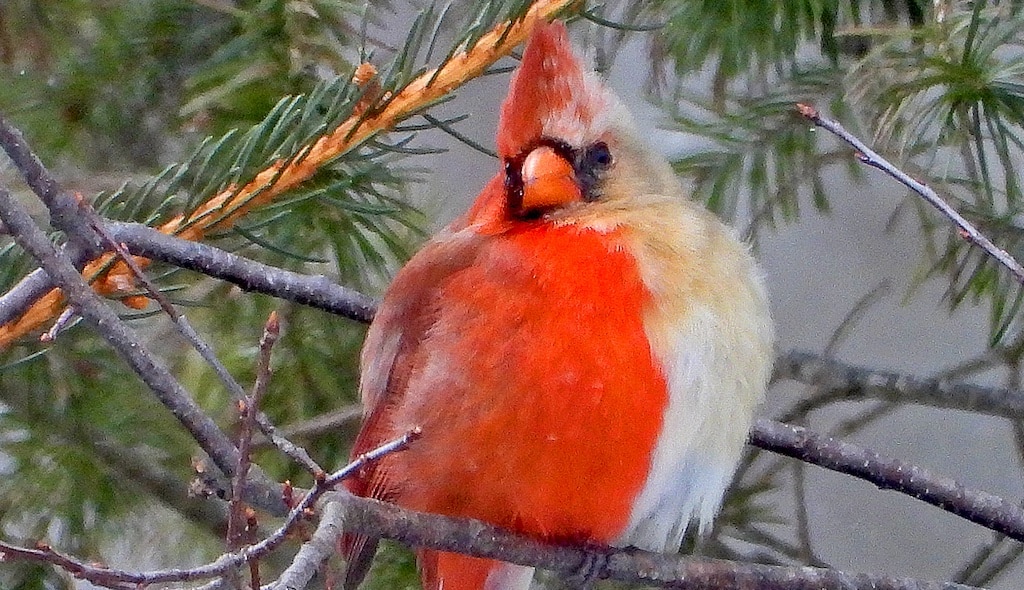 Rundgang “Anders ist normal — Vielfalt sexueller Fortpflanzungsstrategien”