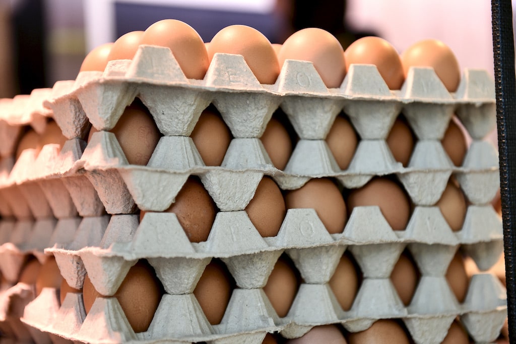 Eier zu Ostern — aber bitte frisch!