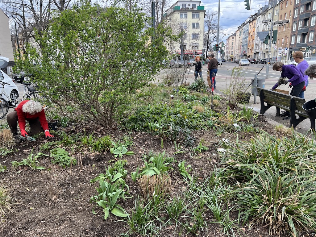 Die Grünen suchen die schönsten und insektenfreundlichsten Gärten, Baumscheiben und Balkone