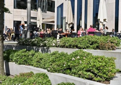 Die neugestalltete Landskrone Foto: LOKALBÜRO