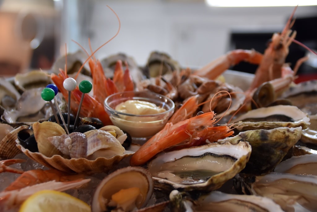 Genuss und Spätsommerfeeling beim traditionellen Fischmarkt am Rhein