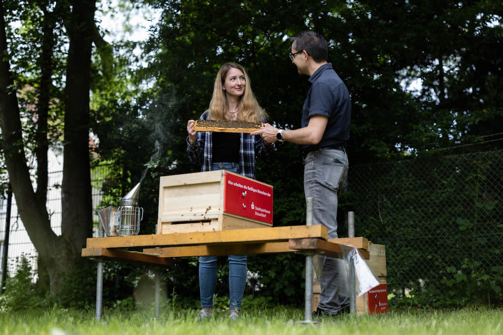 Made by Stadtsparkasse: Honig vom eigenen Bienenvolk