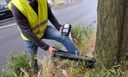 Düsseldorf kontrolliert den Robinienbestand in der&nbsp;Stadt