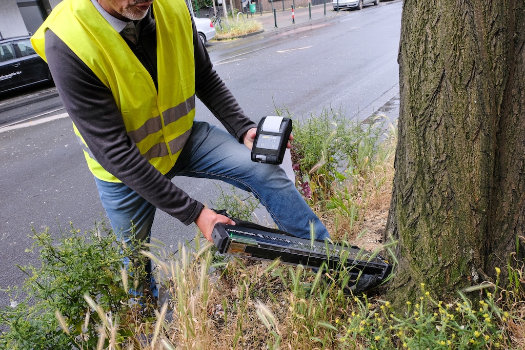 Düsseldorf kontrolliert den Robinienbestand in der Stadt