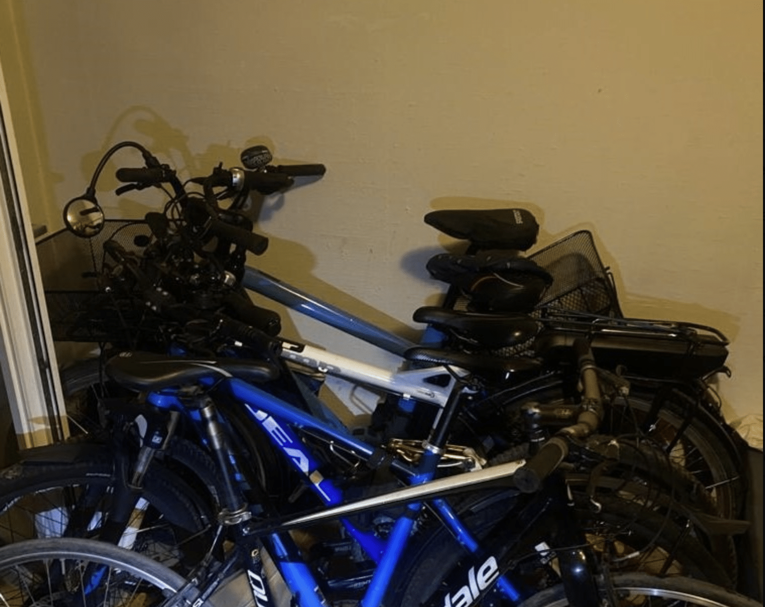 Mehrere Fahrraddiebe auf frischer Tat ertappt