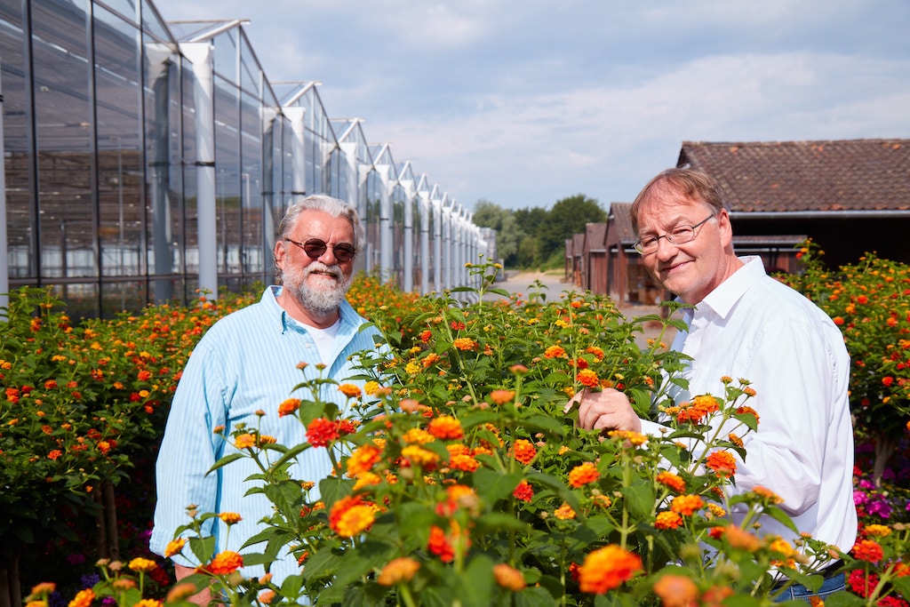 Düsseldorfs Stadtbezirke werden bunter