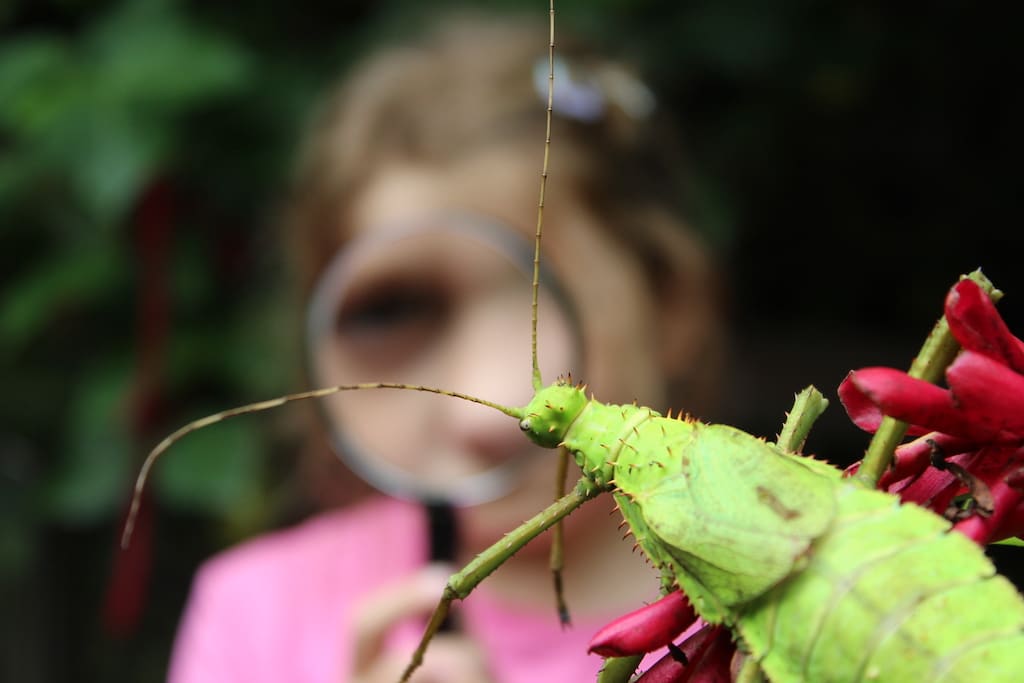 Noch freie Platze bei den Ferienworkshops im Aquazoo