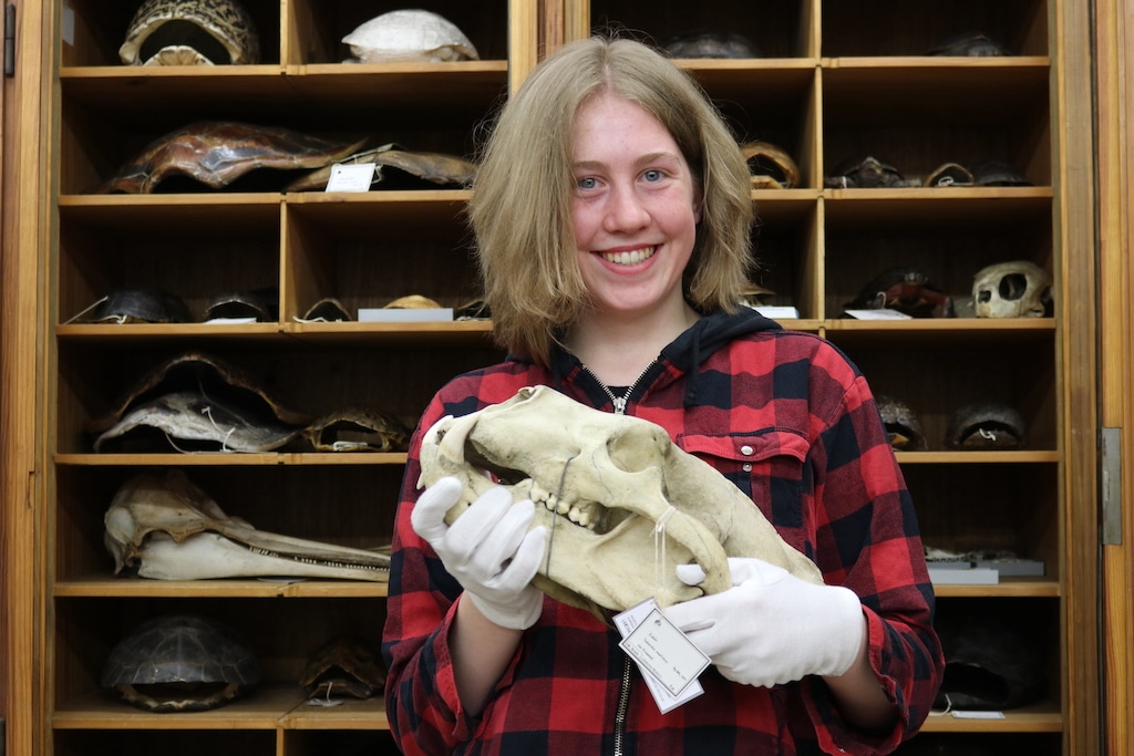 Video-Bloggerin Kim Zettl zeigt Präparate von Haien und Rochen